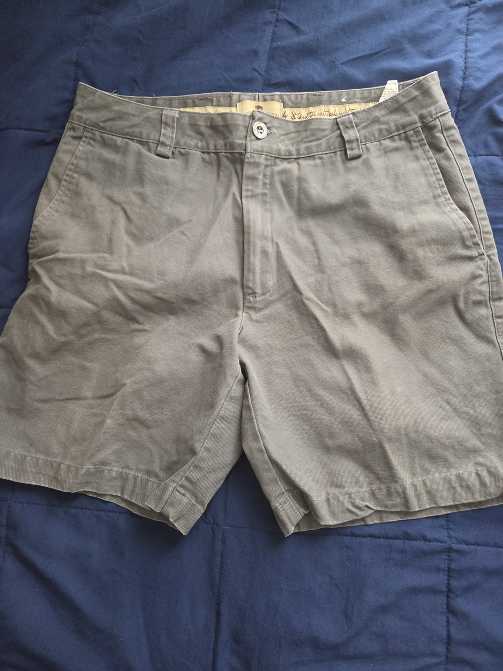Men's Flat-Front Chino Shorts in Olive